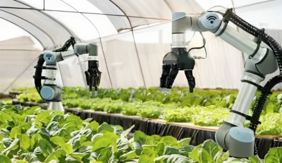 gazettedupmu2 || gazette pmu 2 || gazette pmu2 || gazettedupmu || gazettepmu2